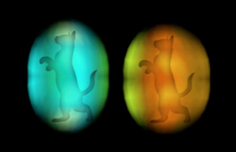 Kedi, Şifa, Depresyon ve Terapiler