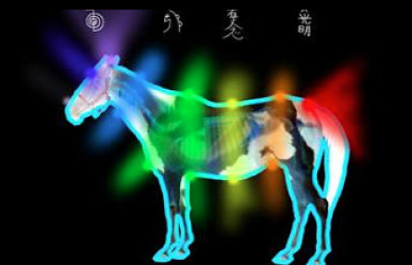 At Şifası, Horses Healing